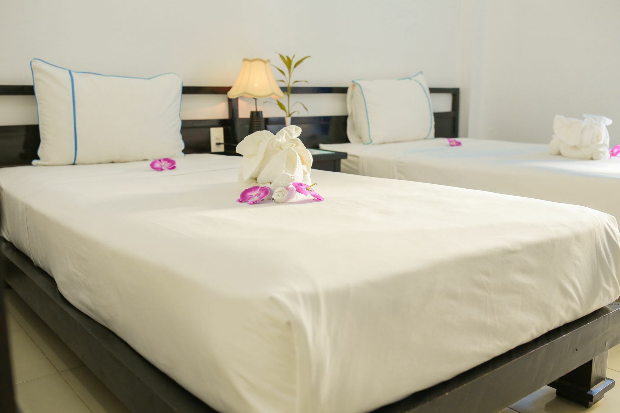 An Hoi Hotel Hoi An Dış mekan fotoğraf